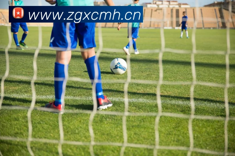 App Interface Preview